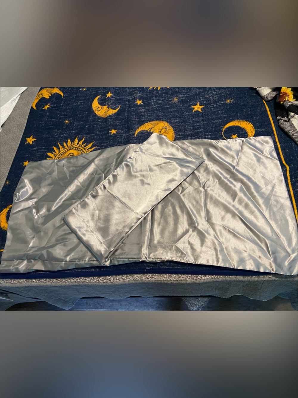 Set (2) Silk King Pillow Cases